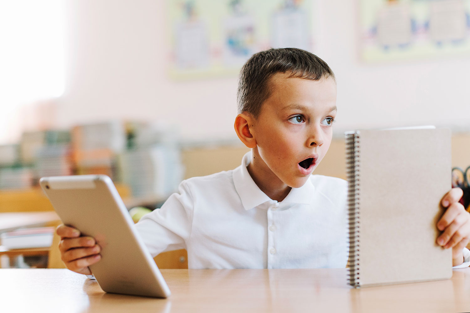 Early Childhood Education Software